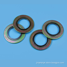 Spiral Wound Gasket With Outer Ring 